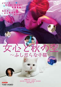 云娘泪电视剧全集